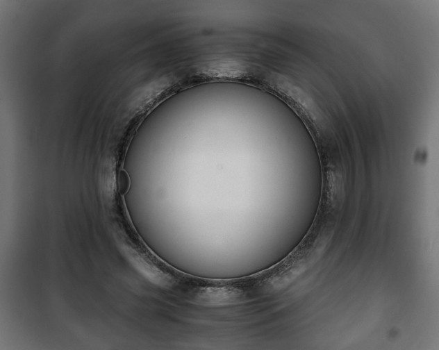 X0000101390541200807141135