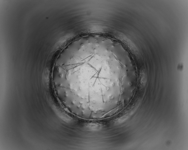 X0000101390542200807141135