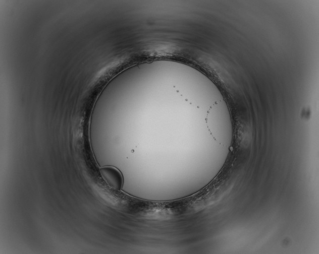 X0000101390543200807141135