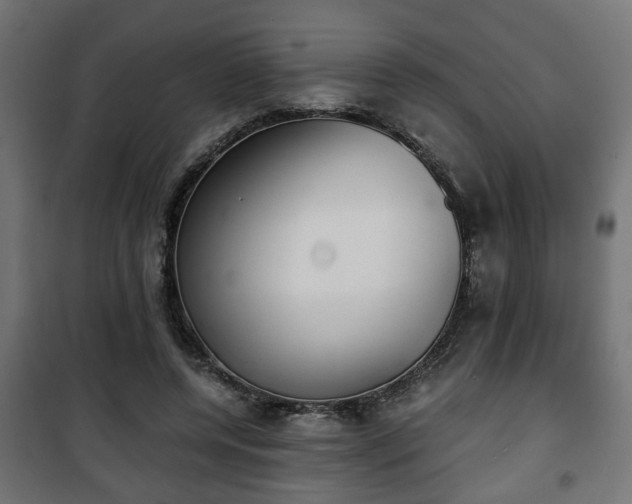 X0000101390544200807141135