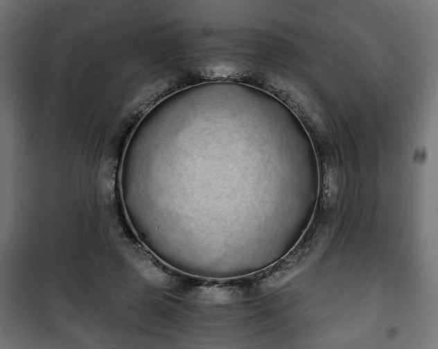 X0000101390545200807141135