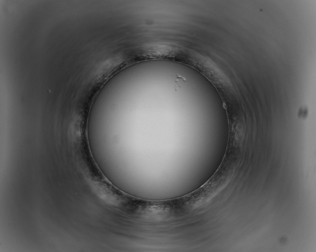 X0000101390546200807141135