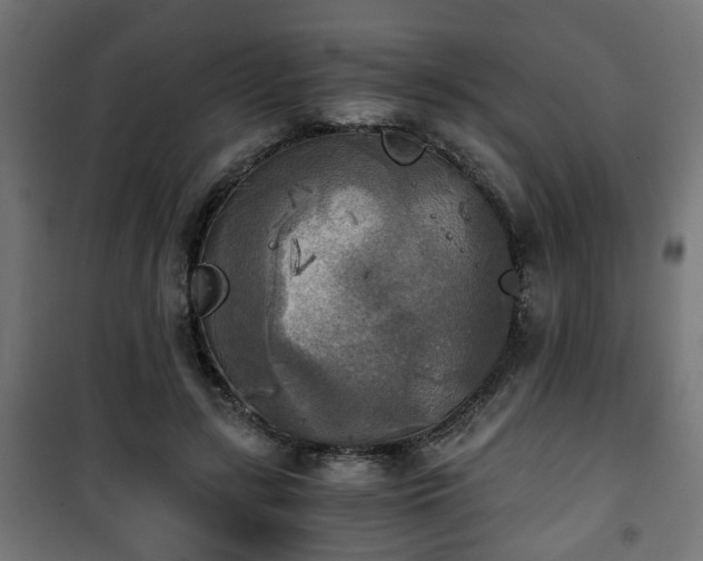 X0000101390547200807141135