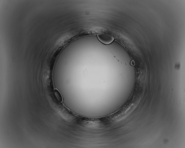 X0000101390548200807141135