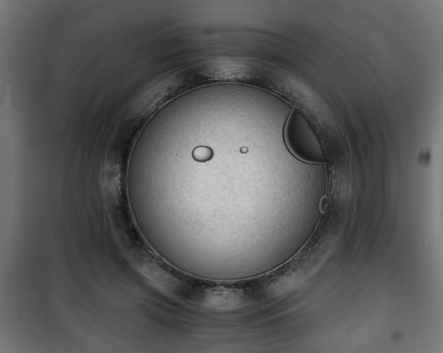 X0000101390549200807141135