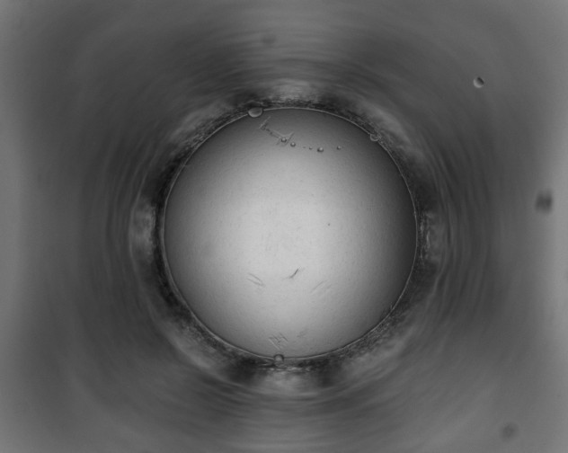 X0000101390550200807141135