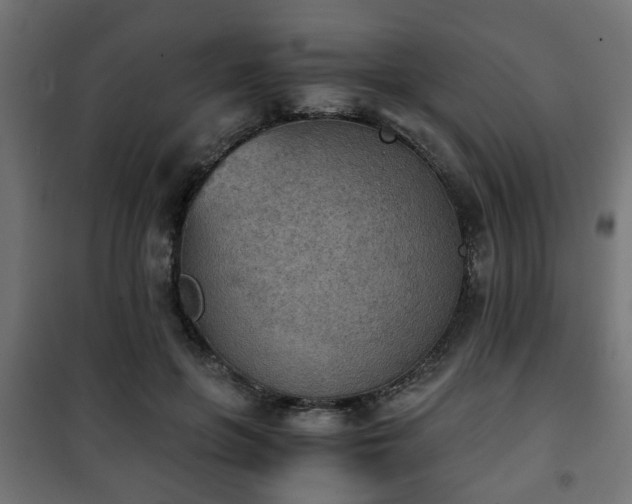 X0000101390551200807141135