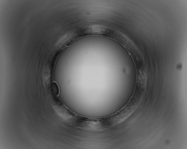 X0000101390552200807141135