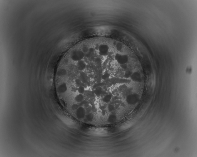 X0000101390553200807141135