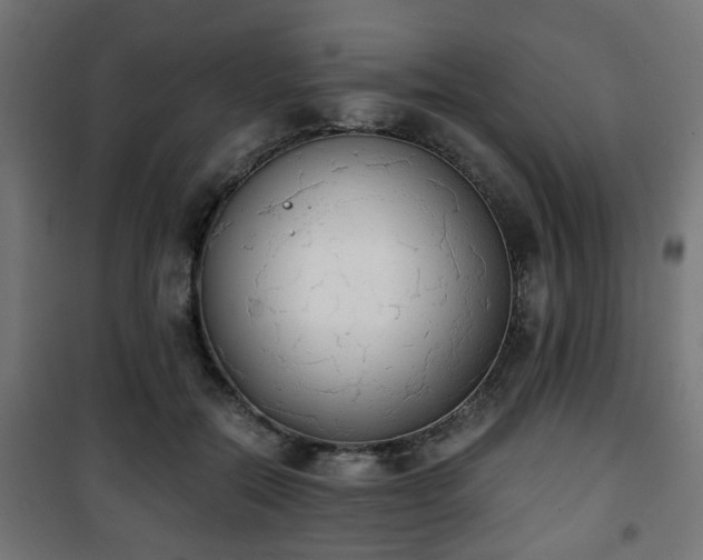 X0000101390554200807141135