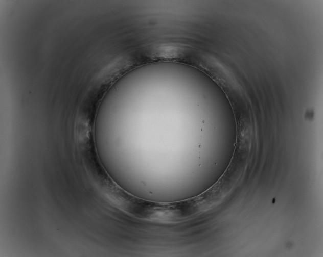 X0000101390555200807141135