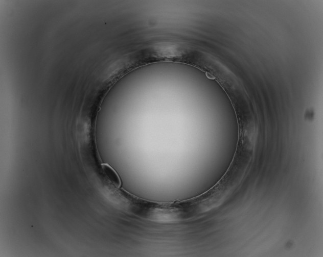 X0000101390556200807141135