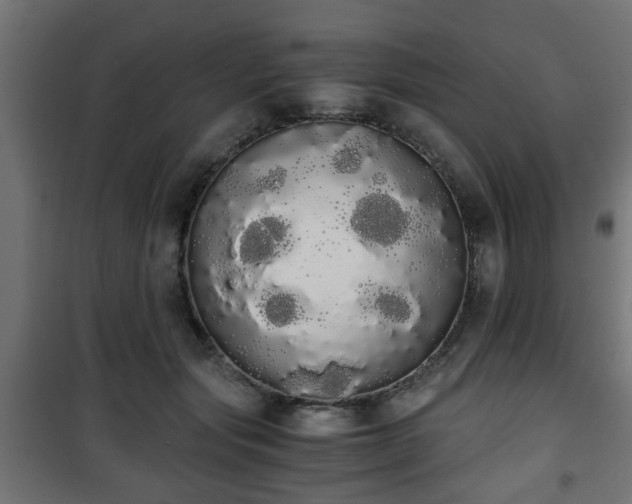 X0000101390557200807141135