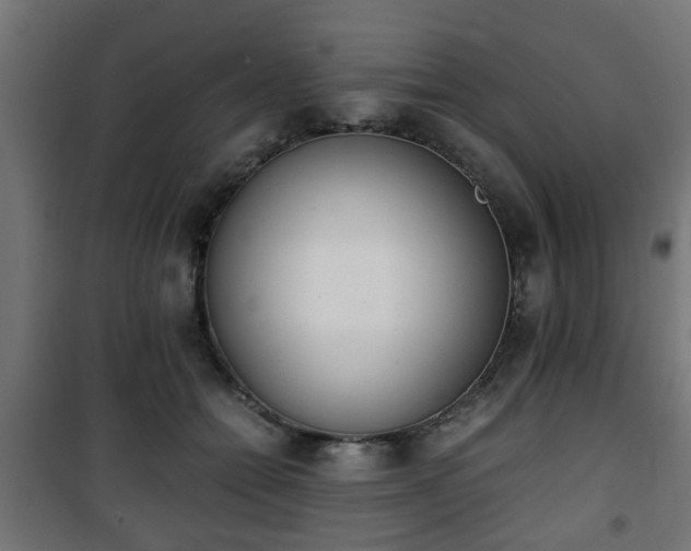 X0000101390558200807141135