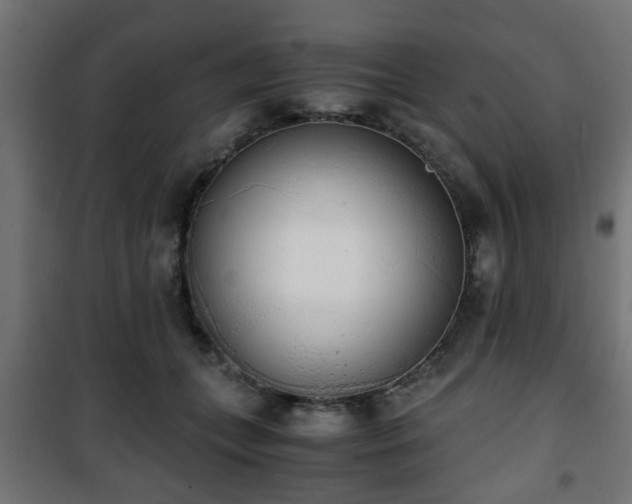 X0000101390559200807141135