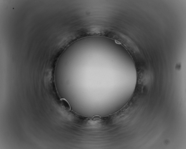 X0000101390560200807141135