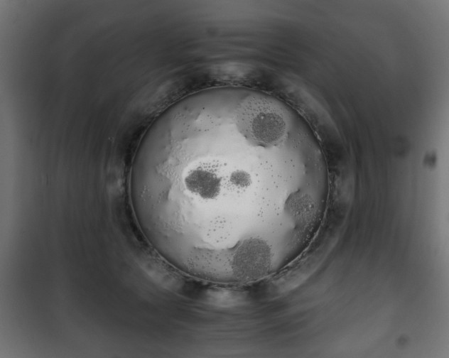 X0000101390561200807141135