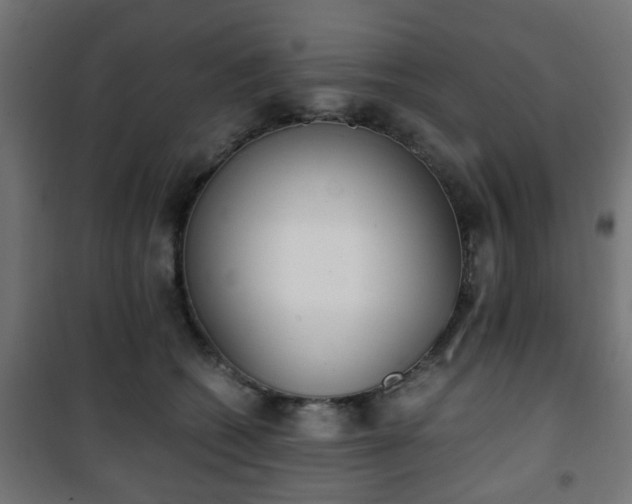 X0000101390562200807141135