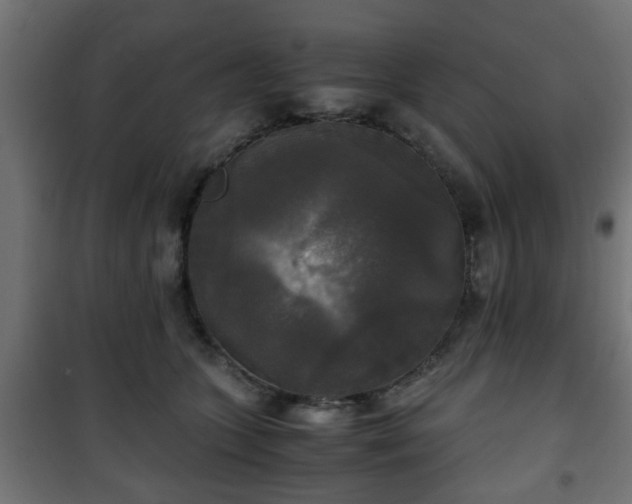 X0000101390563200807141135