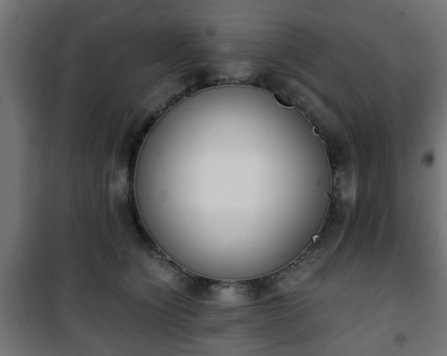 X0000101390564200807141135