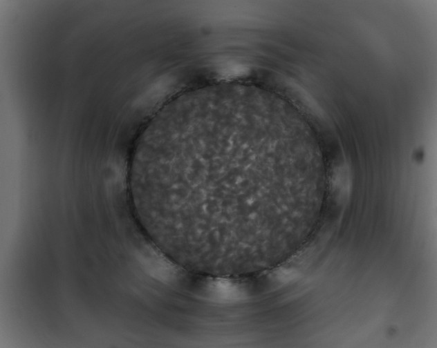 X0000101390565200807141135