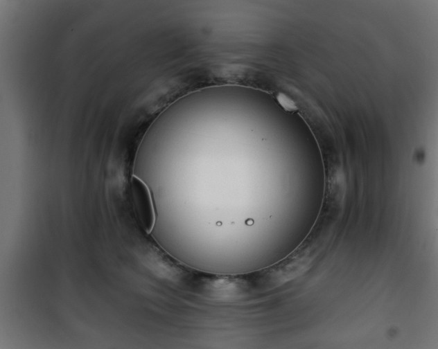 X0000101390566200807141135