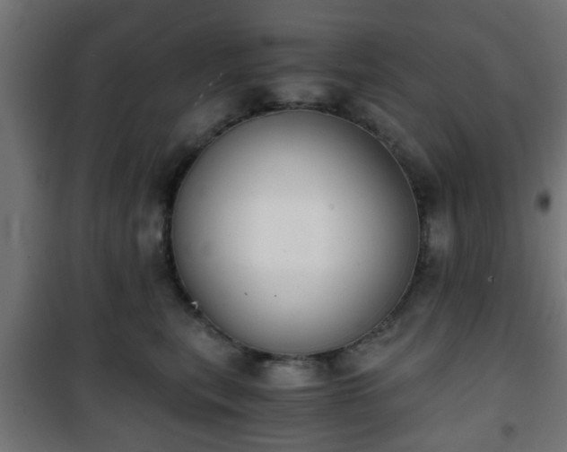 X0000101390567200807141135