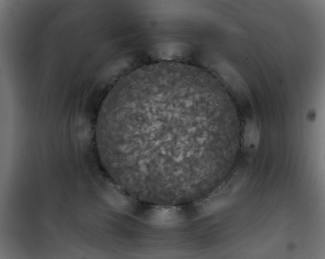 X0000101390569200807141136