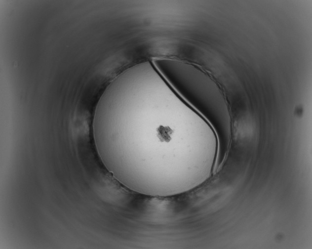 X0000101390570200807141136