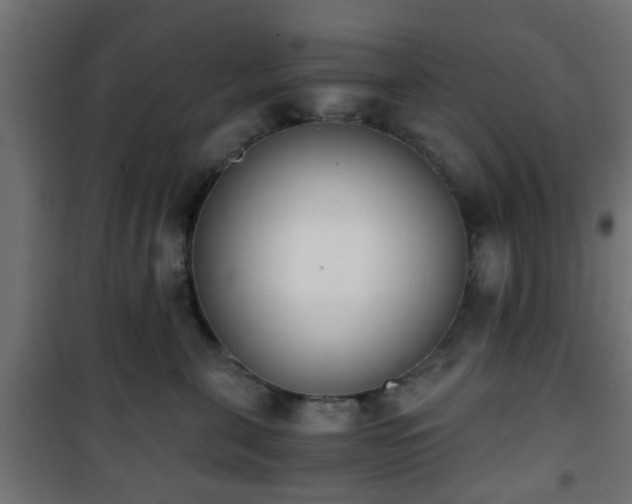 X0000101390571200807141136