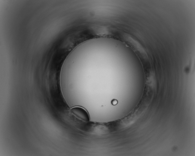 X0000101390572200807141136