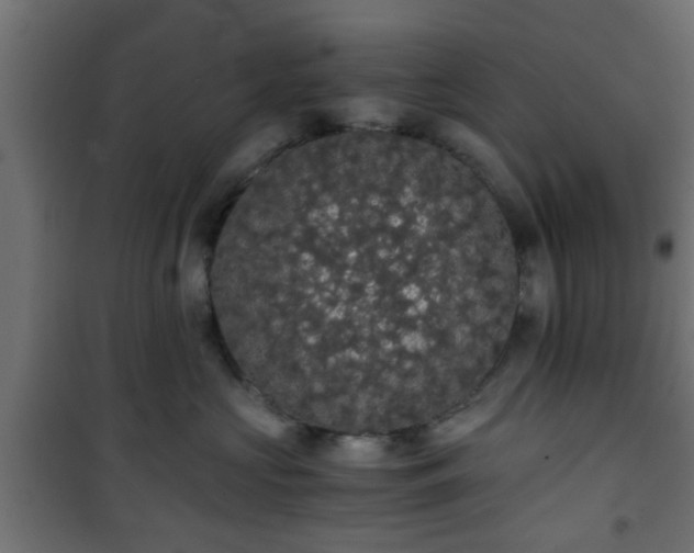 X0000101390573200807141136