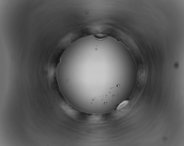 X0000101390574200807141136