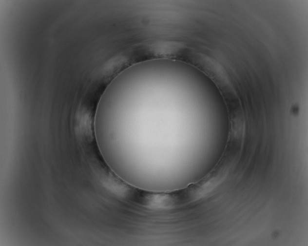 X0000101390575200807141136