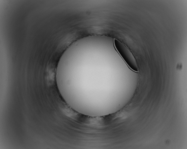 X0000101390576200807141136