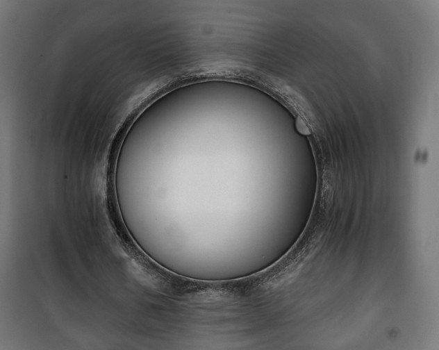 X0000101390578200807141135