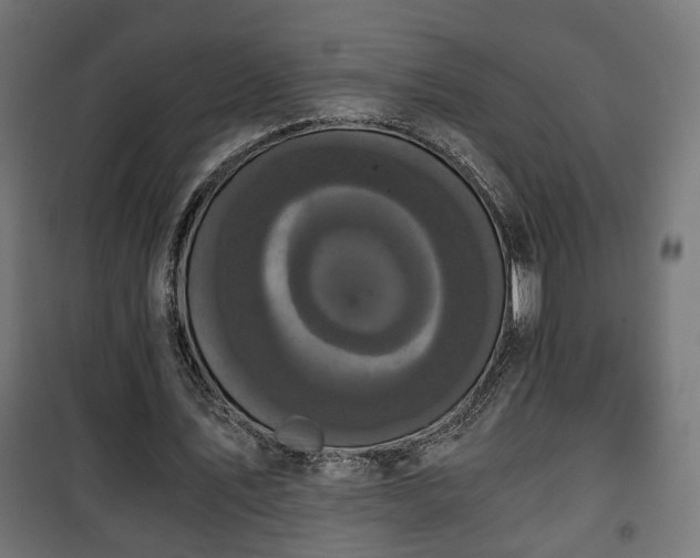 X0000101390579200807141135