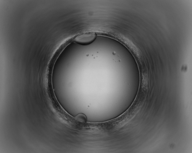 X0000101390580200807141135