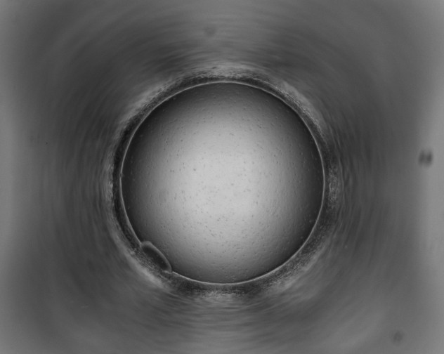 X0000101390581200807141135