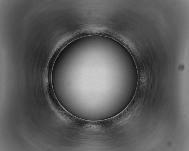 X0000101390582200807141135