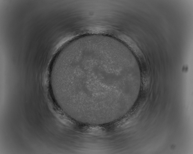 X0000101390583200807141135