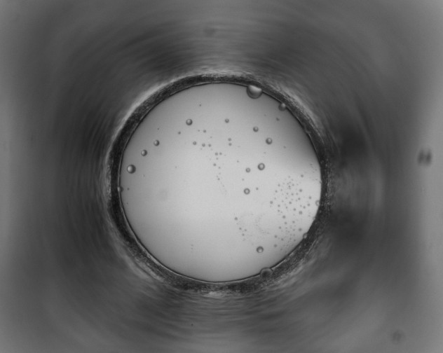 X0000101390584200807141135