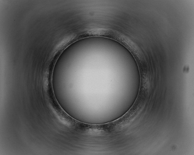 X0000101390586200807141135