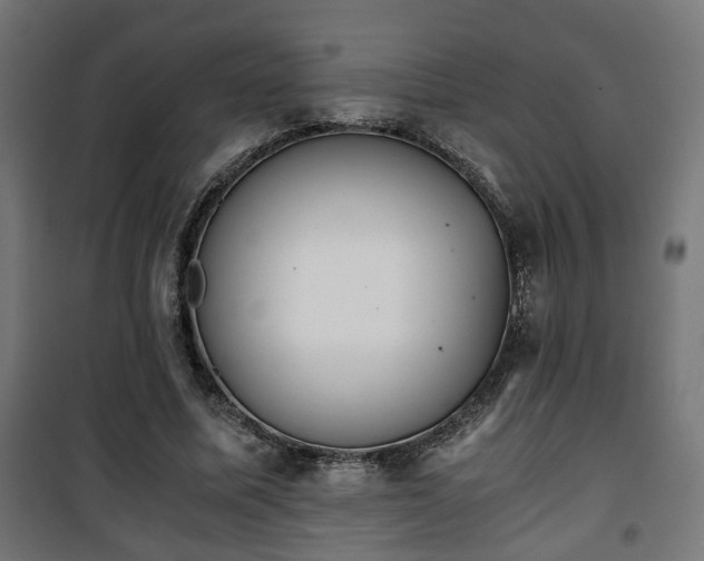 X0000101390587200807141135