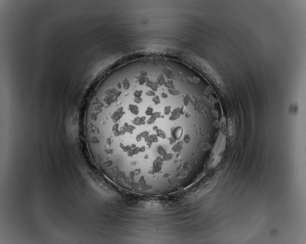X0000101390588200807141135