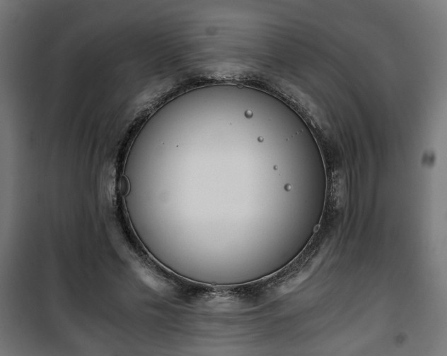 X0000101390589200807141135