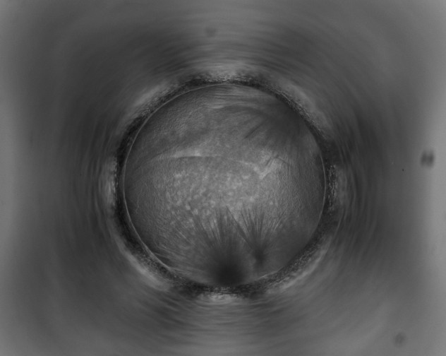 X0000101390590200807141135