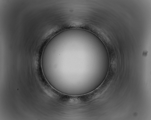 X0000101390591200807141135