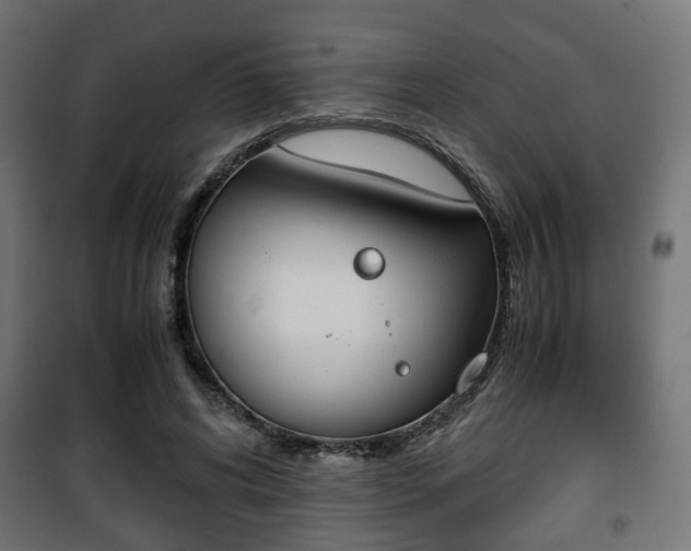 X0000101390592200807141135