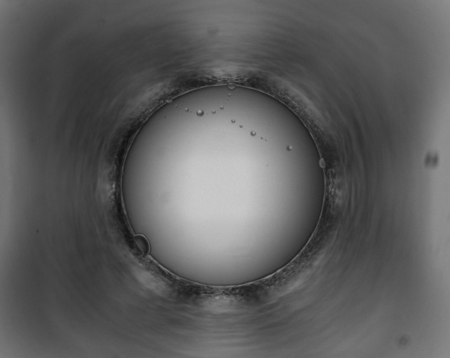 X0000101390593200807141135